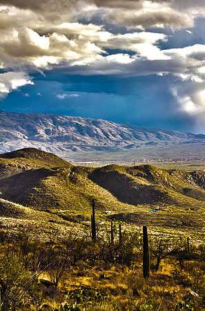 Desert Rains