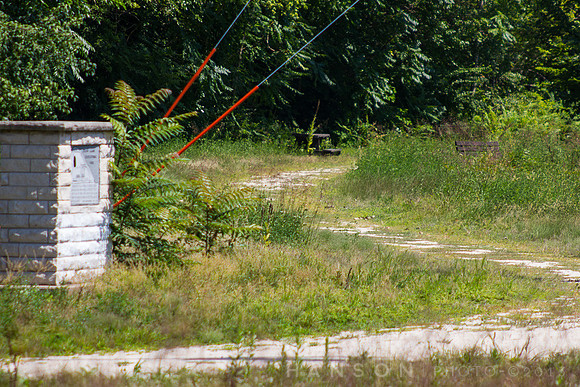 Overgrown Path