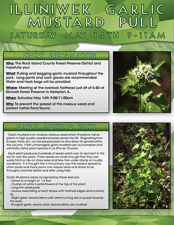 Event Poster - Garlic Mustard Pull