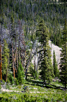 BME - Big Sky Montana 2019 - On Course