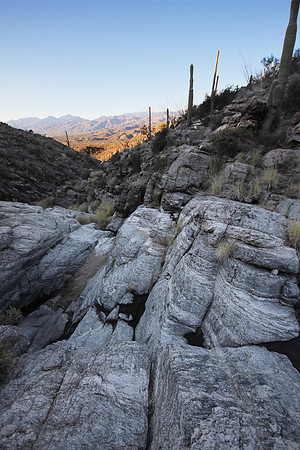 Looking Down a Wash