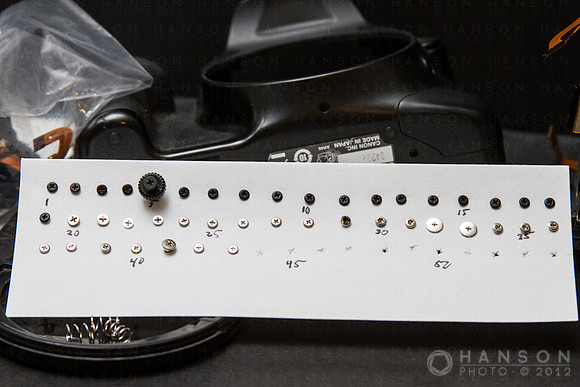 All Screws Removed During Disassembly