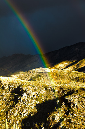 Desert Rainbow