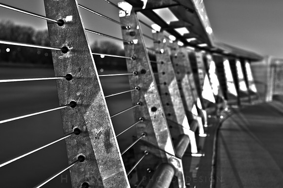 Fence Perspective