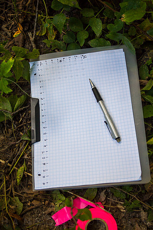 Data Collection