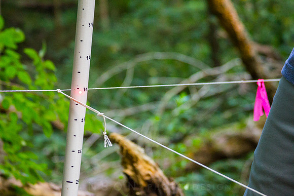 String Line Grid and Measuring Rod